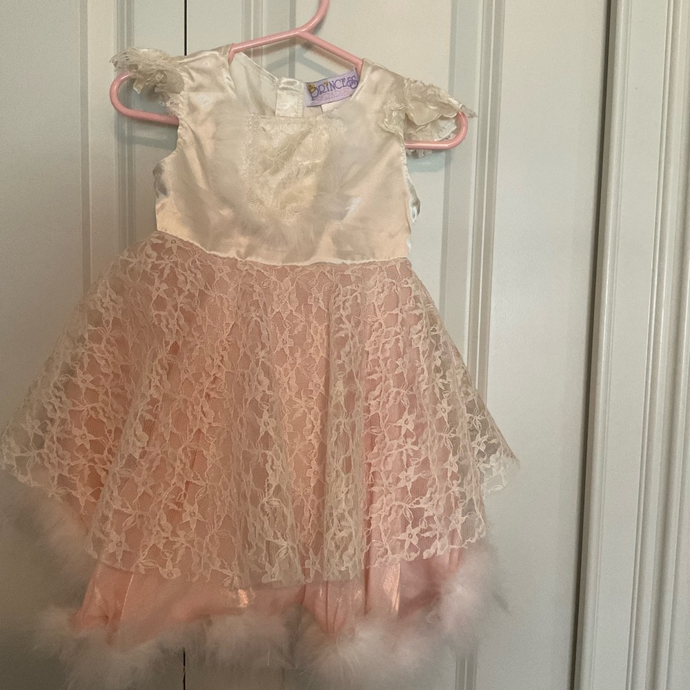 Baby girl’s Princess dress